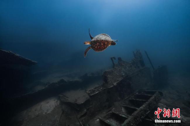 Sanya: meraviglioso mondo sottomarino