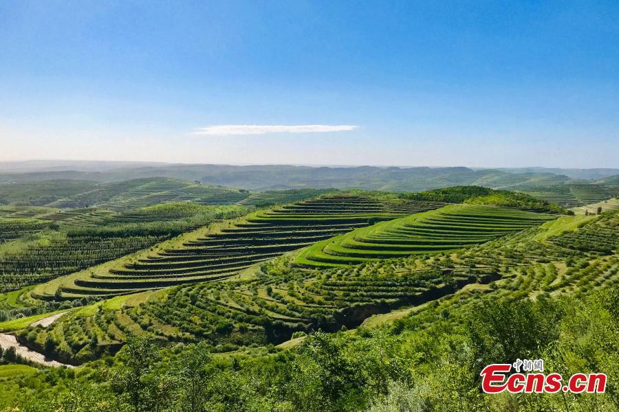 Ningxia, meravigliosi terrazzamenti all'inizio autunnale