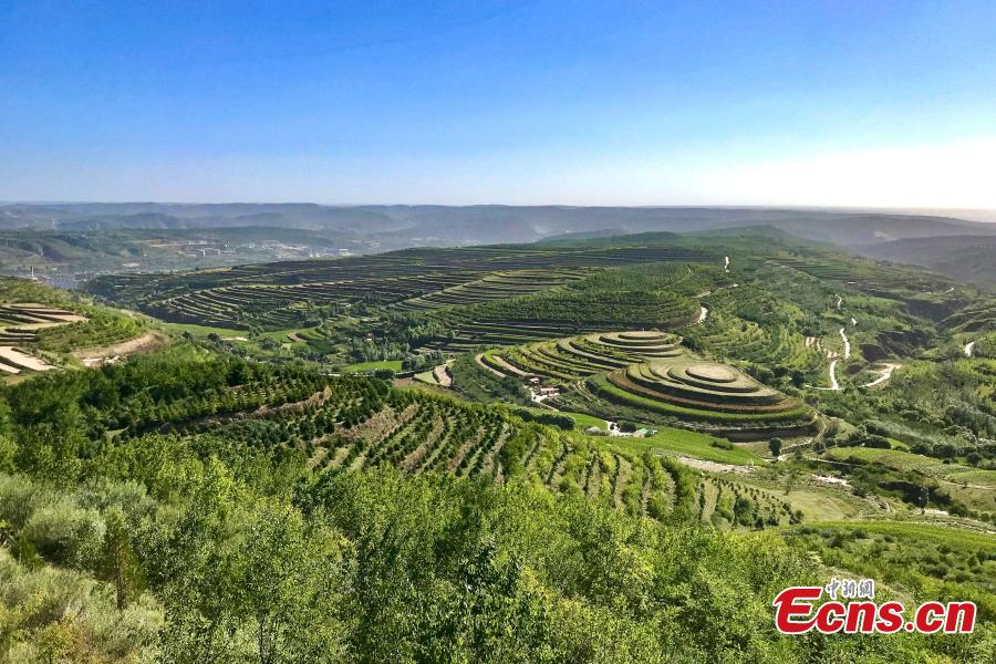 Ningxia, meravigliosi terrazzamenti all'inizio autunnale