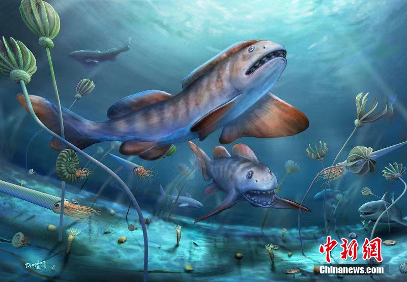 Cina: la prima scoperta di squali Petalodus di 290 milioni anni fa, predatore più potente negli antichi oceani