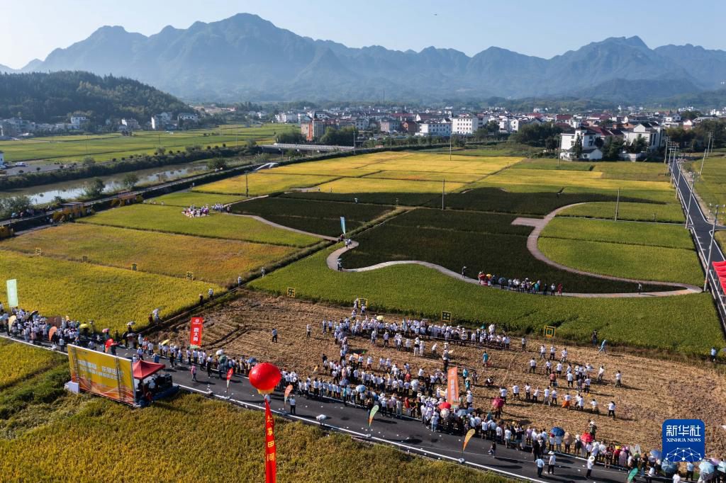 Zhejiang, giochi divertenti nel campo di risaia