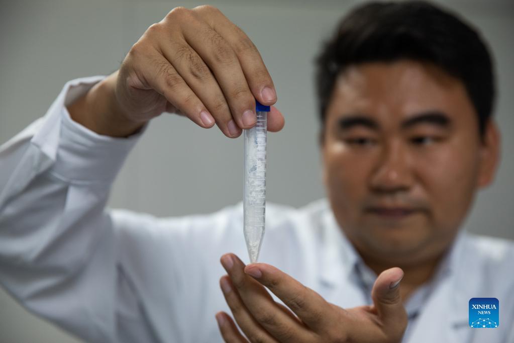 Scienziati cinesi sintetizzano per la prima volta amido usando diossido di carbonio