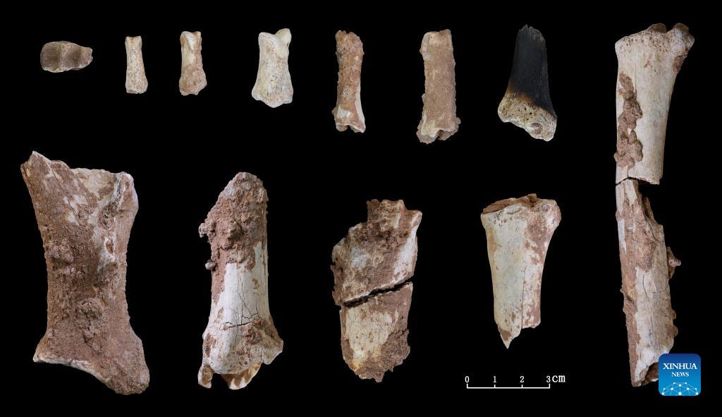 Cina, Henan: ritrovati fossili di cranio umano risalenti a 32 mila anni fa