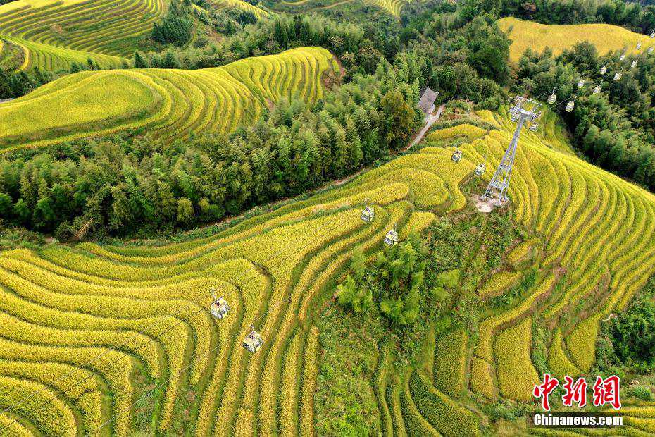 Guangxi, bellissimi campi di terrazza d'autunno