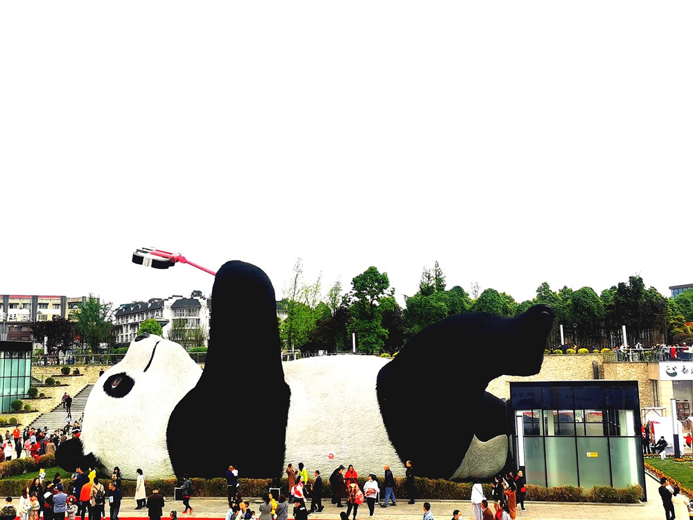 Sichuan: il Selfie Panda è la nuova attrazione turistica 