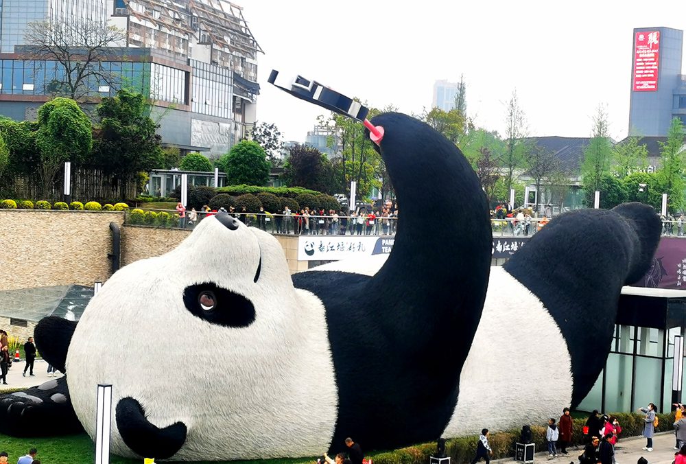 Sichuan: il Selfie Panda è la nuova attrazione turistica 