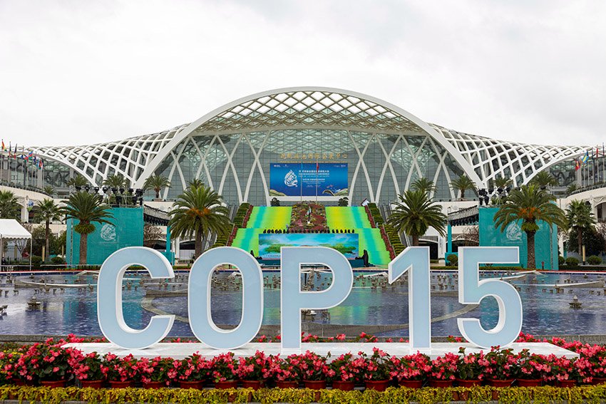 Kunming: al via COP15, sede pronta per gli ospiti