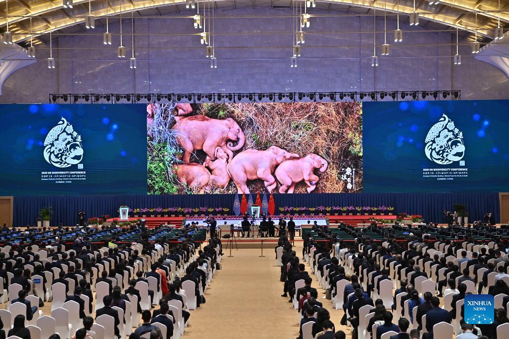 Kunming, inaugurato COP15. Civiltà ecologica sotto i riflettori