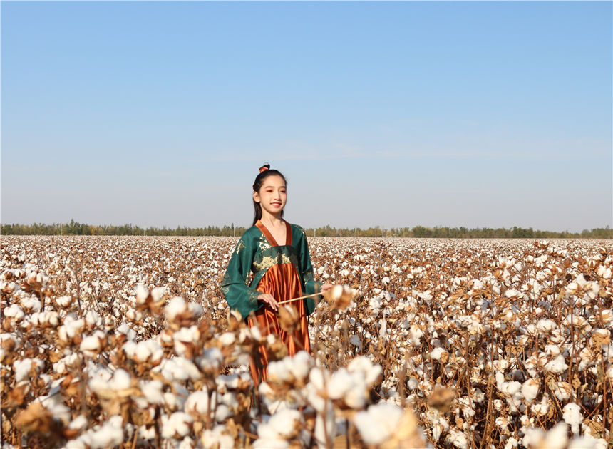 Xinjiang: sfilata di moda nel campo di cotone 