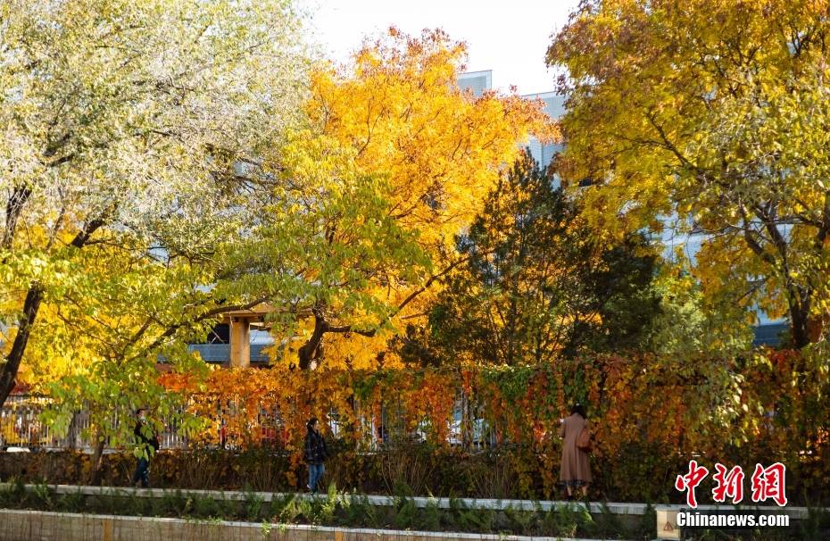 Beijing in autunno 
