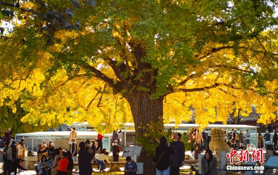 Beijing in autunno 