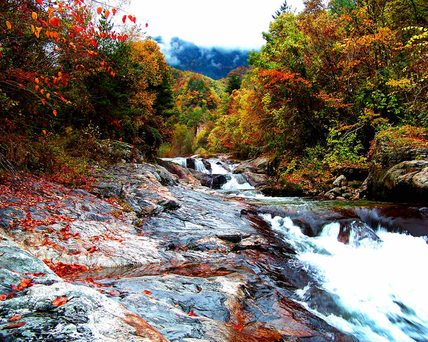 Huangbaiyuan, Shaanxi: il meraviglioso autunno di Qinling 
