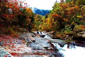 Huangbaiyuan, Shaanxi: il meraviglioso autunno di Qinling 