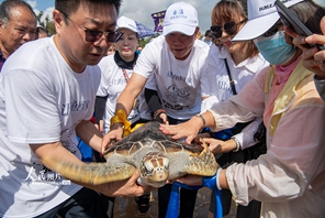 Hainan: reintroduzione di 9 tartarughe marine in natura