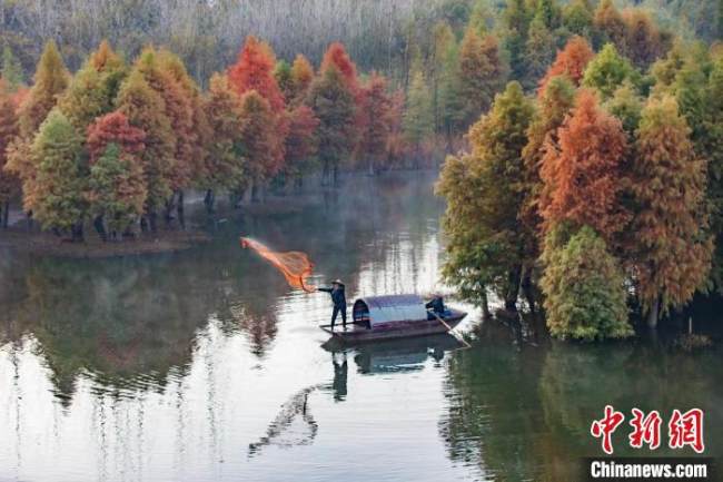 Jiangsu, spettacolare pittura naturale d'inverno di Xuyu