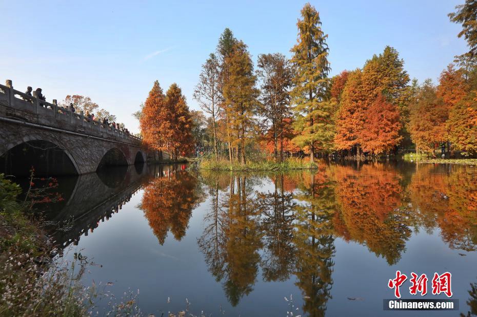 Nanjing, pittoresco paesaggio invernale del Lago Yanque