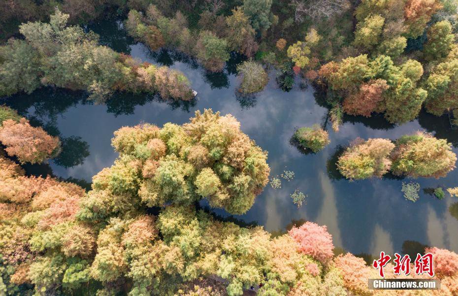 Nanjing, pittoresco paesaggio invernale del Lago Yanque