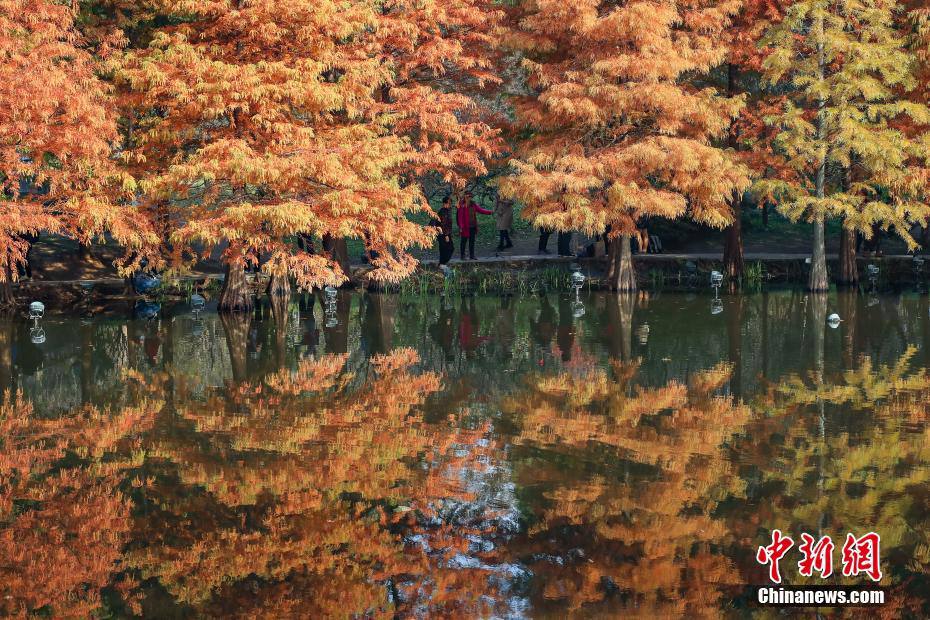 Nanjing, pittoresco paesaggio invernale del Lago Yanque