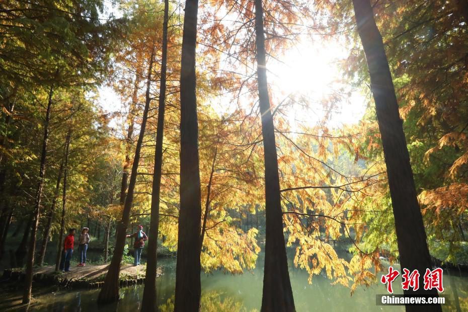 Nanjing, pittoresco paesaggio invernale del Lago Yanque