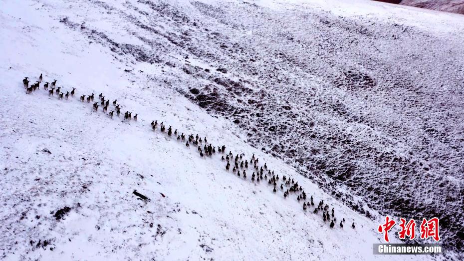 Pittoresco panorama invernale nelle montagne Qilian