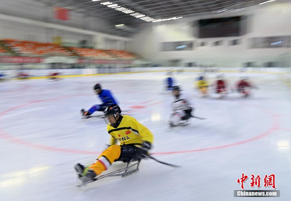 Visita alle squadre paralimpiche cinesi di hockey su ghiaccio e curling in preparazione dei Giochi Paralimpici Invernali