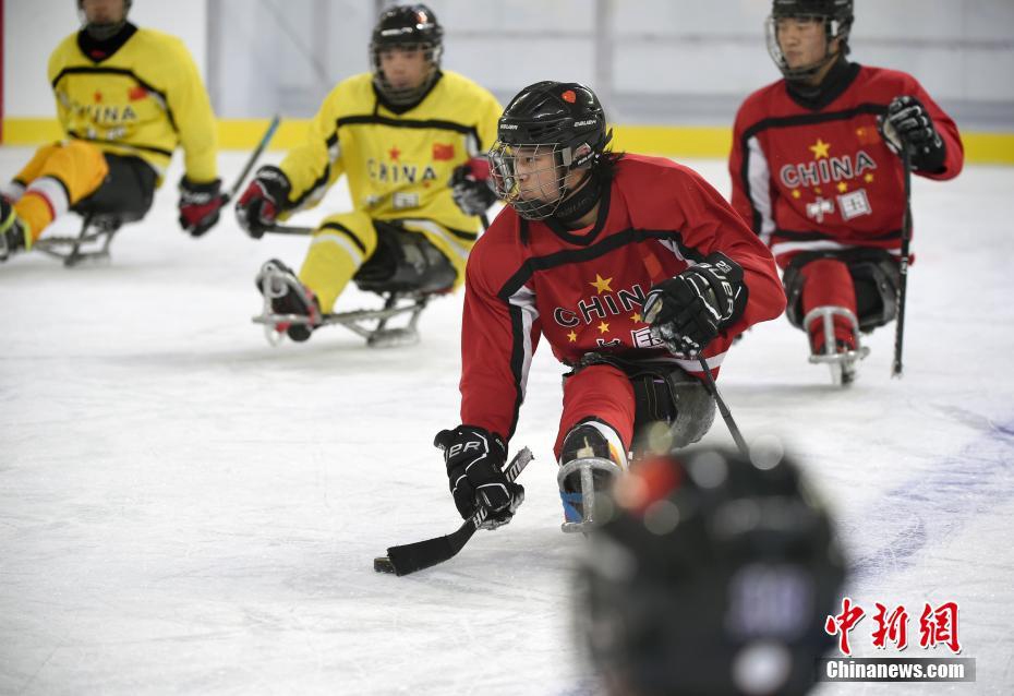 Visita alle squadre paralimpiche cinesi di hockey su ghiaccio e curling in preparazione dei Giochi Paralimpici Invernali