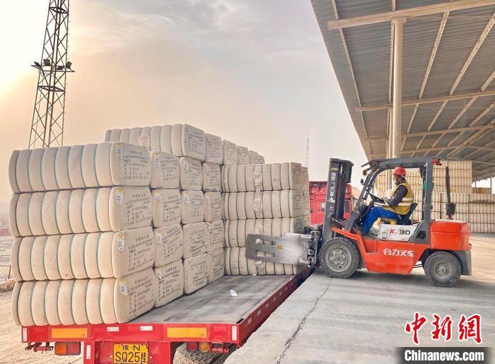 Xinjiang: ferrovia aiuta ad accelerare la consegna del cotone
