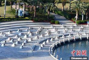 Xiamen, suono del Guzheng alla riva del lago Yundang