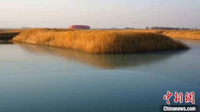 Xinjiang: un paesaggio spettacolare d'inverno del Lago Yong'an