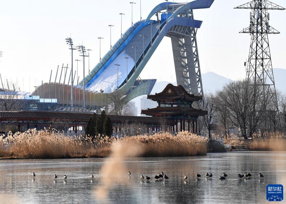 Piattaforma di salto con gli sci al parco Shougang in inverno