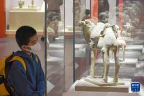 Haikou: Vacanze al museo
