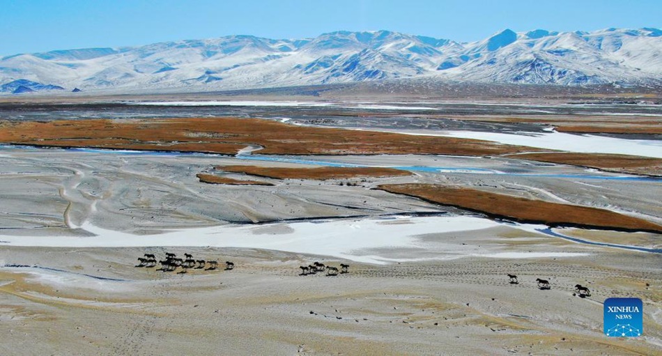 Jiuquan, Gansu: paesaggio gelato della prateria di Haltent