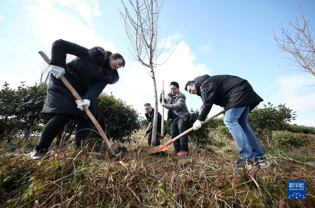 Guizhou, piantare alberi per rendere più verde il nuovo anno