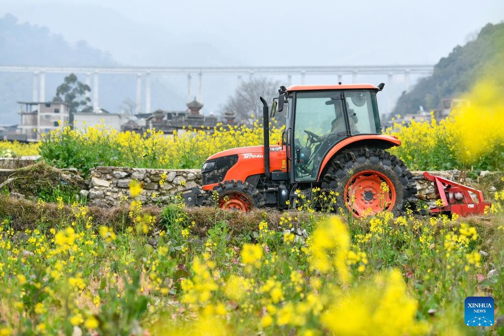 Guizhou: agricoltori impegnati nella produzione agricola primaverile 