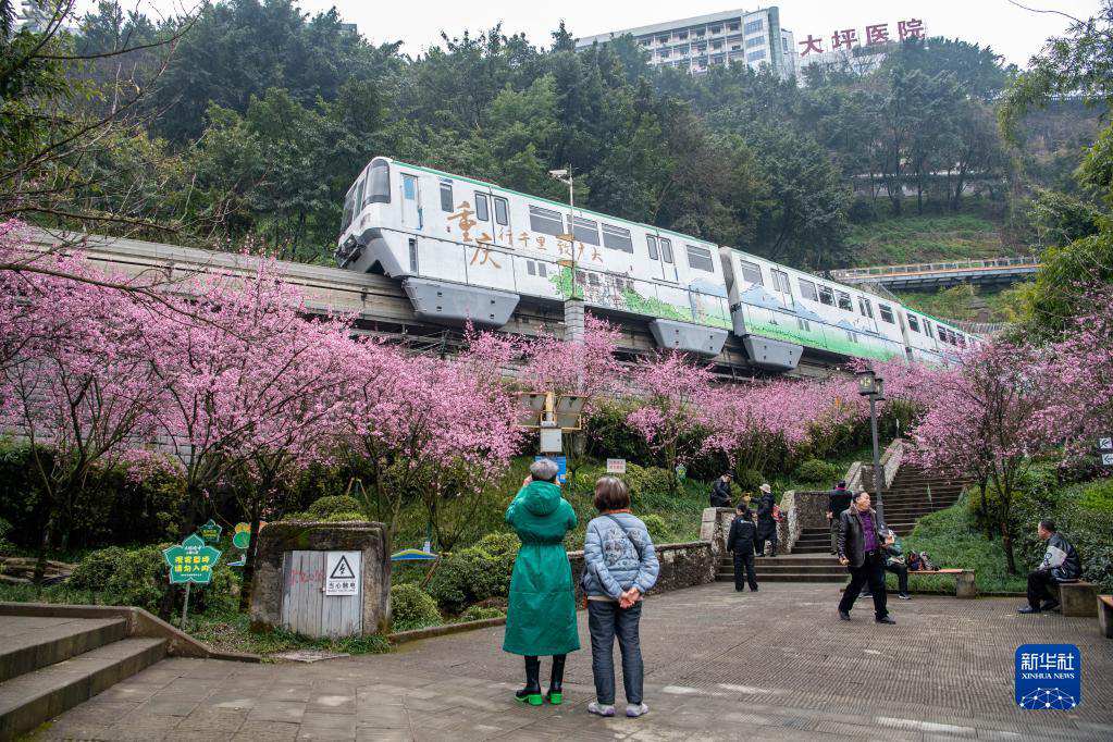 Chongqing, i treni di traffico orbitale passano attraverso i fiori