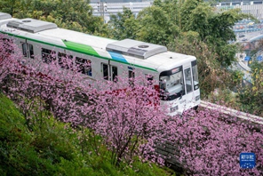 Chongqing, i treni di traffico orbitale passano attraverso i fiori