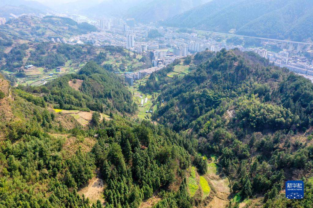 Guizhou, 62,12% il tasso di copertura forestale