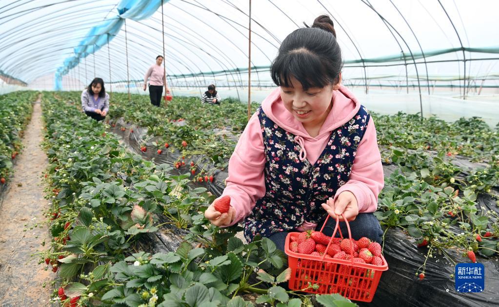 Luonan, Shaanxi: i villaggi cambiano aspetto grazie alle varie misure