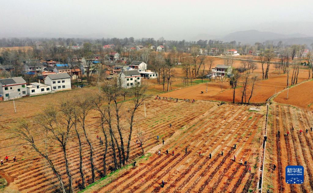 Luonan, Shaanxi: i villaggi cambiano aspetto grazie alle varie misure