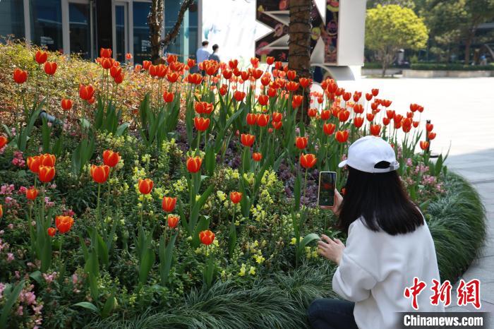 Hangzhou: cittadini si godono la primavera soleggiata