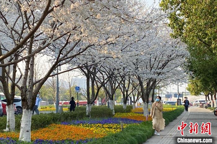 Hangzhou: cittadini si godono la primavera soleggiata