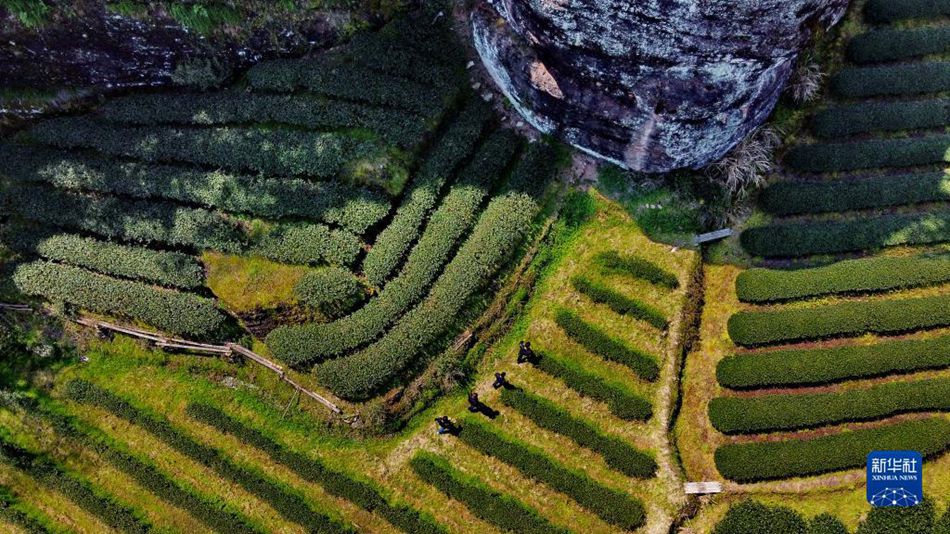 Fujian: angelo custode del parco nazionale del Monte Wuyi