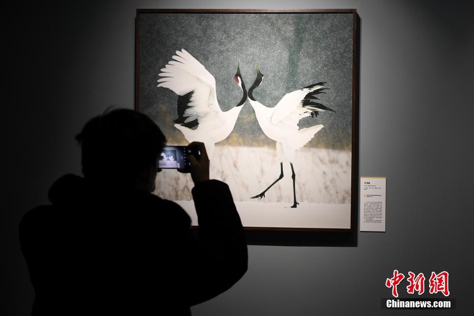 Beijing, mostra fotografica su animali in via di estinzione
