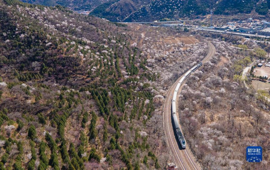 Beijing, si godono il mare dei fiori sul treno suburbano