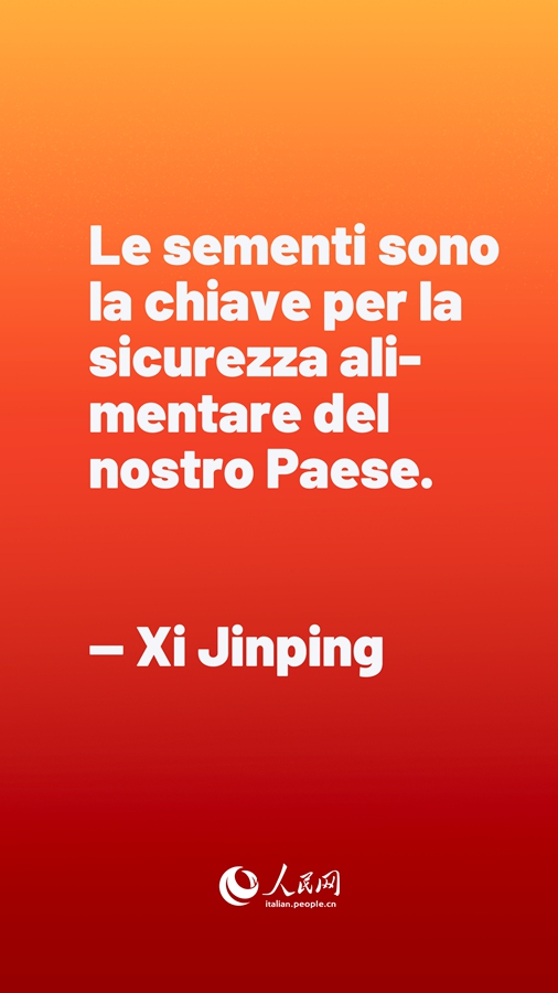 Xi Jinping: le sementi sono la chiave per la sicurezza alimentare del nostro Paese