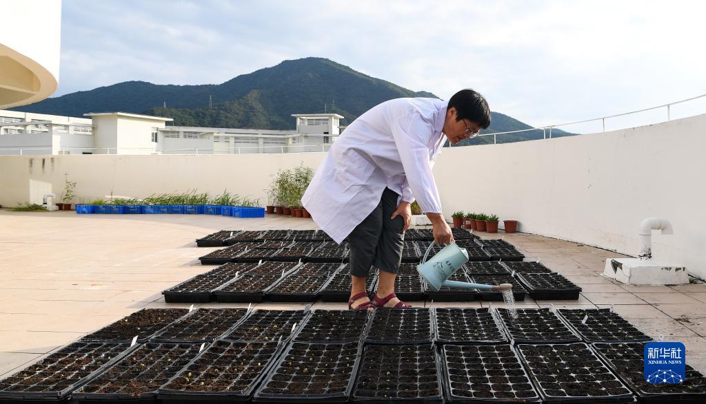 Alla scoperta del Laboratorio di Semi di Baia Yazhou