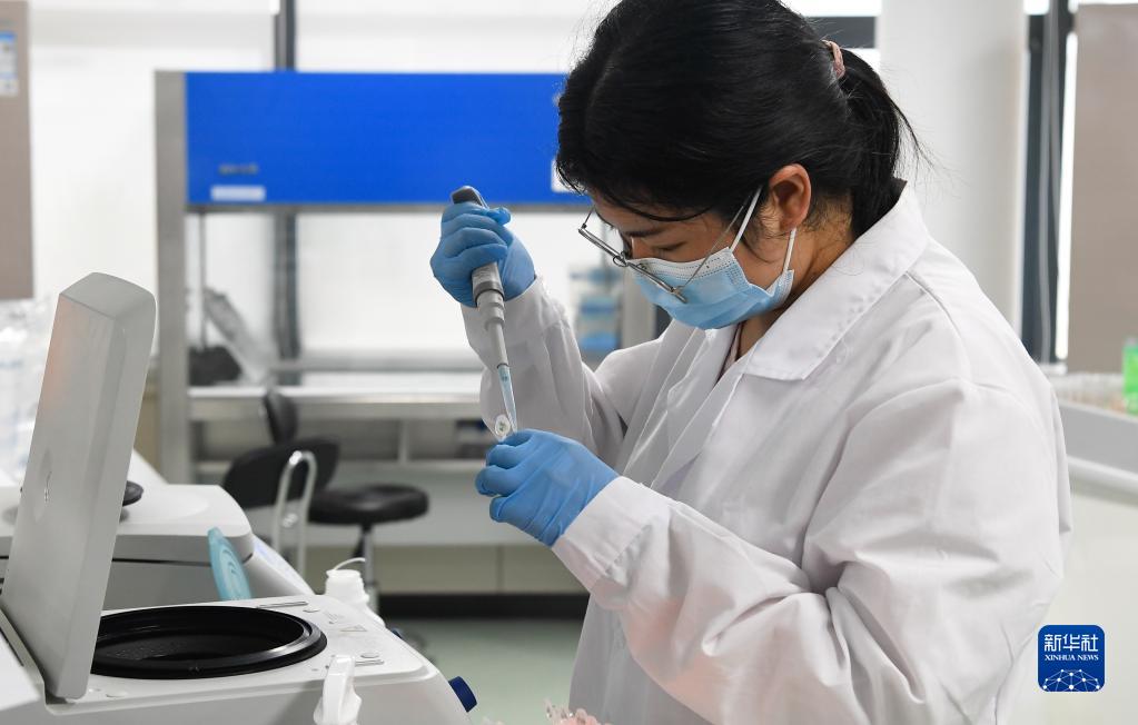 Alla scoperta del Laboratorio di Semi di Baia Yazhou