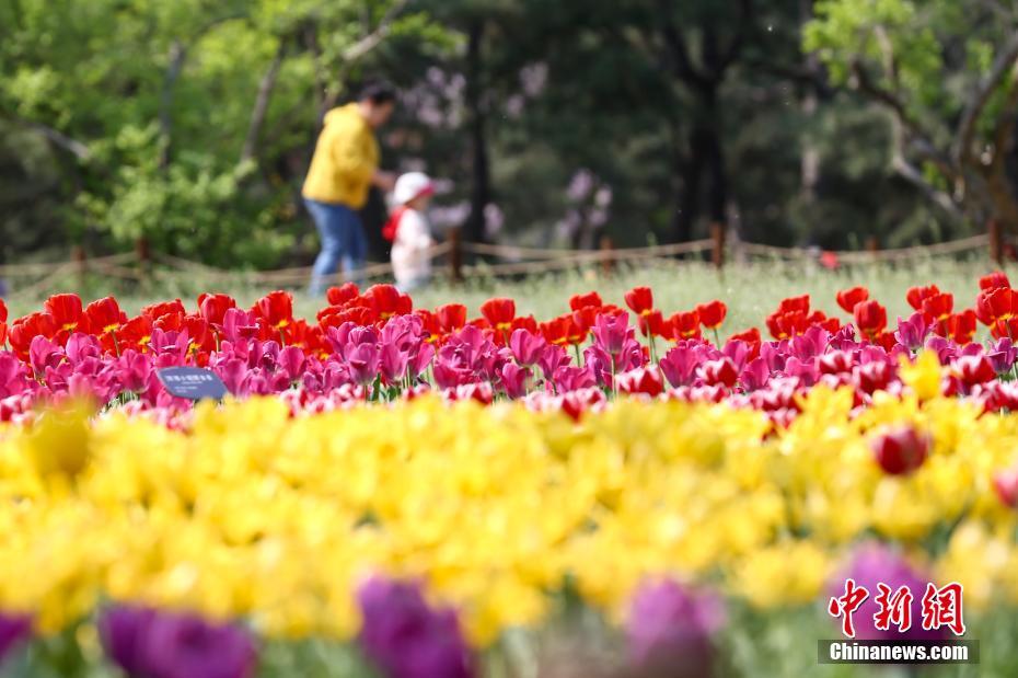 Beijing: inaugurato il Giardino Botanico Nazionale della Cina