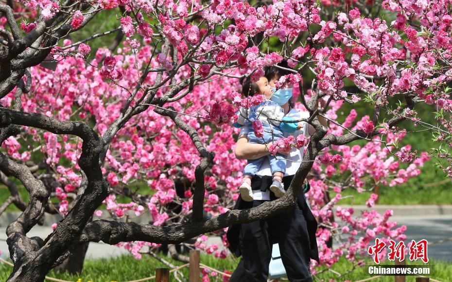 Beijing: inaugurato il Giardino Botanico Nazionale della Cina