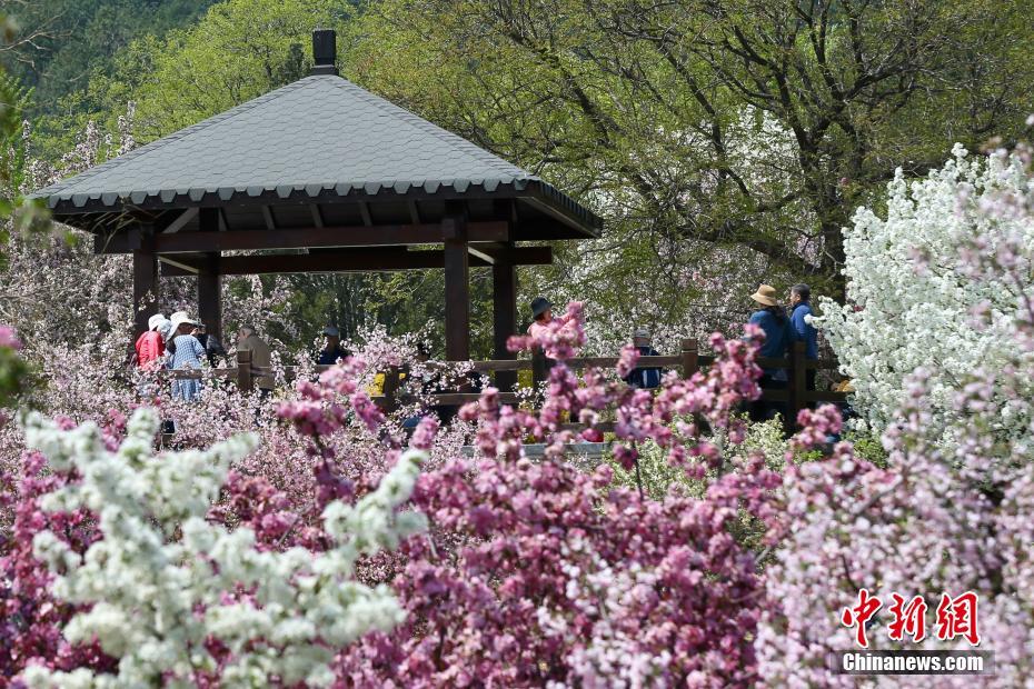 Beijing: inaugurato il Giardino Botanico Nazionale della Cina